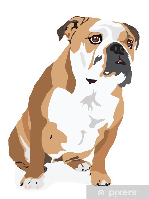524x700 English Bulldog Vector Wall Mural