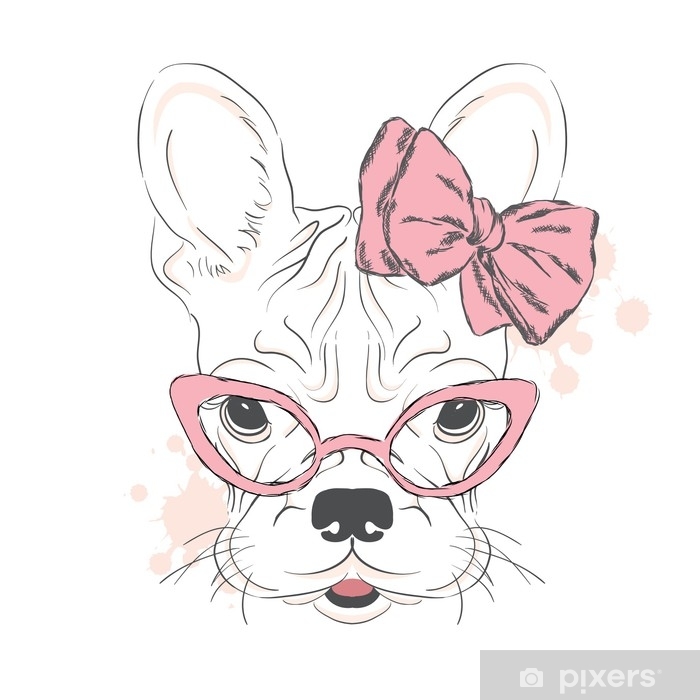 700x700 French Bulldog Vector Pedigree Dog Puppy With A Bow Girl