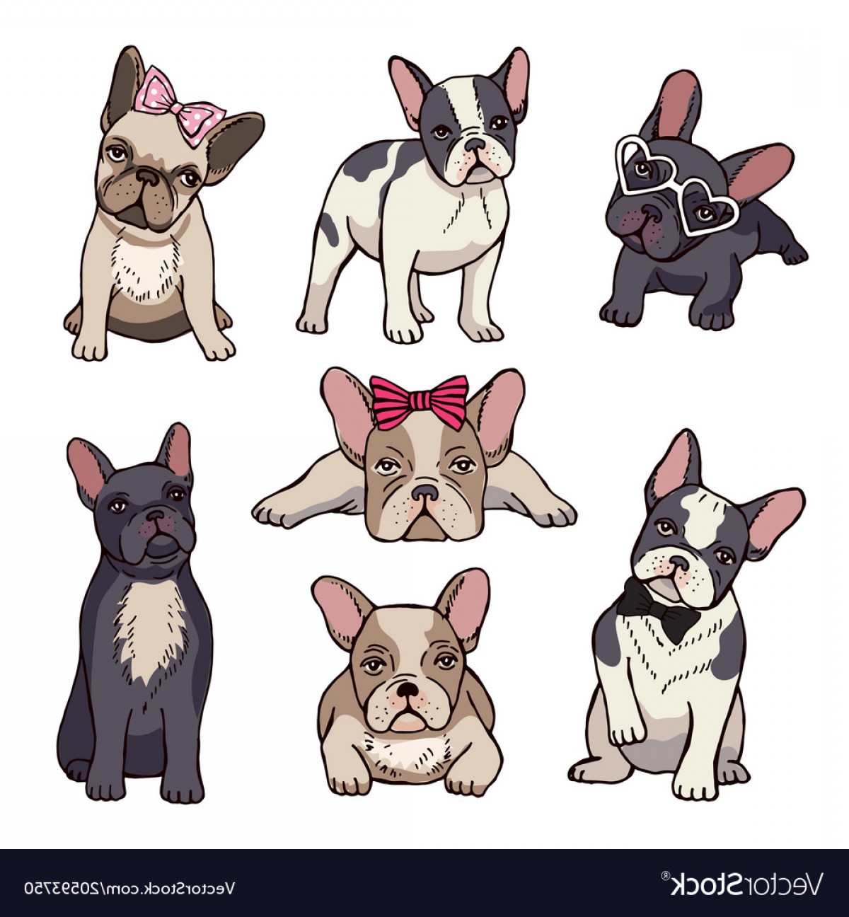 Bulldog Vector at Vectorified.com | Collection of Bulldog Vector free ...