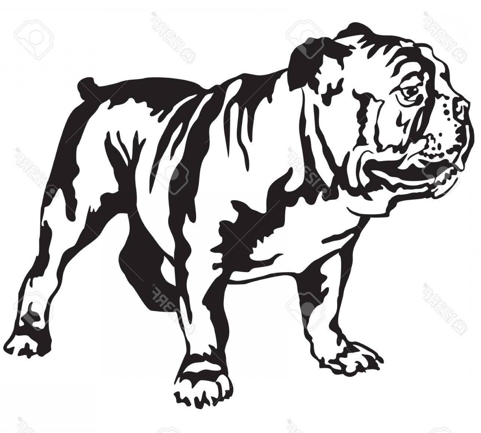 1560x1404 Photostock Vector Decorative Portrait Of Standing In Profile