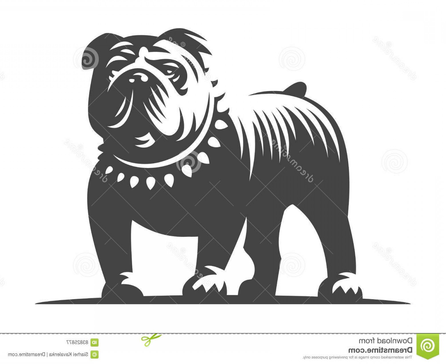 1560x1272 Stock Illustration Bulldog Vector Illustration White Background