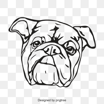 360x360 Bulldog Png, Vector, And Clipart With Transparent Background