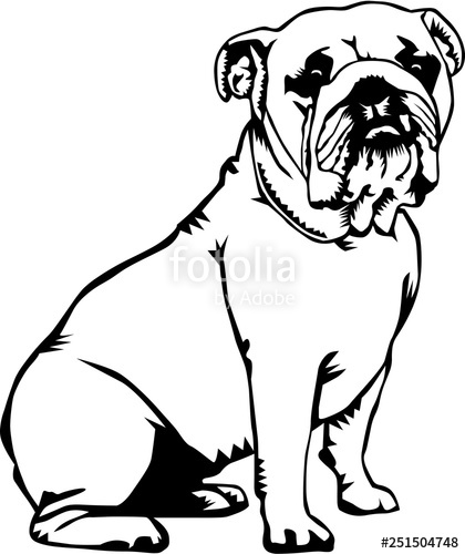 420x500 Bulldog Vector Illustration Stock Image And Royalty Free Vector