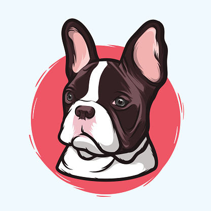 416x416 French Bulldog Clipart