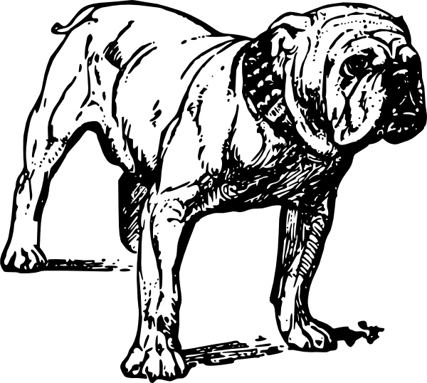 600x538 Bulldog Free Vector Download