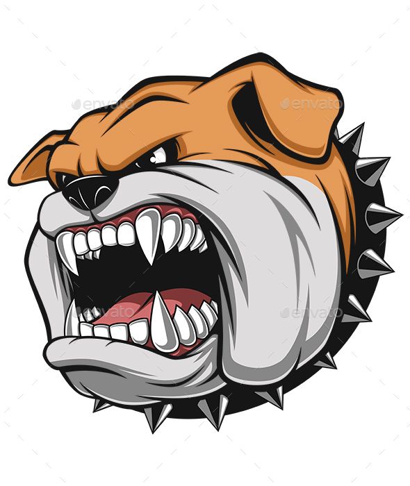 590x700 Vector Illustration Angry Bulldog Mascot Head Vector Graphics