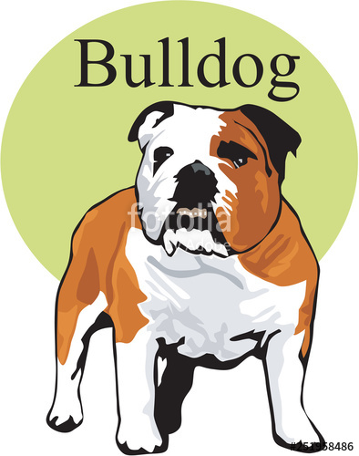 394x500 Bulldog Vector Illustration Stock Image And Royalty Free Vector