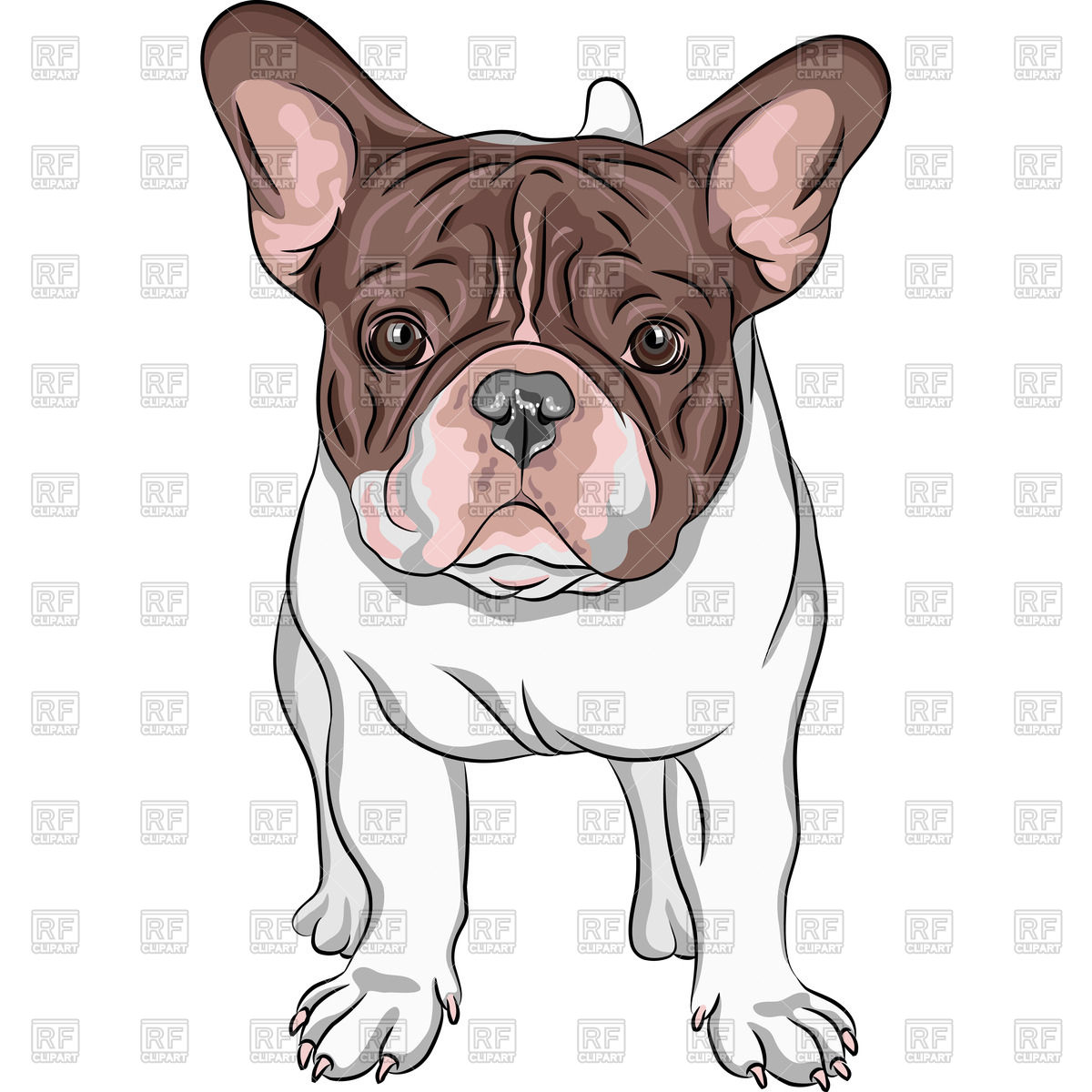 Bulldog Vector Free at Vectorified.com | Collection of Bulldog Vector ...