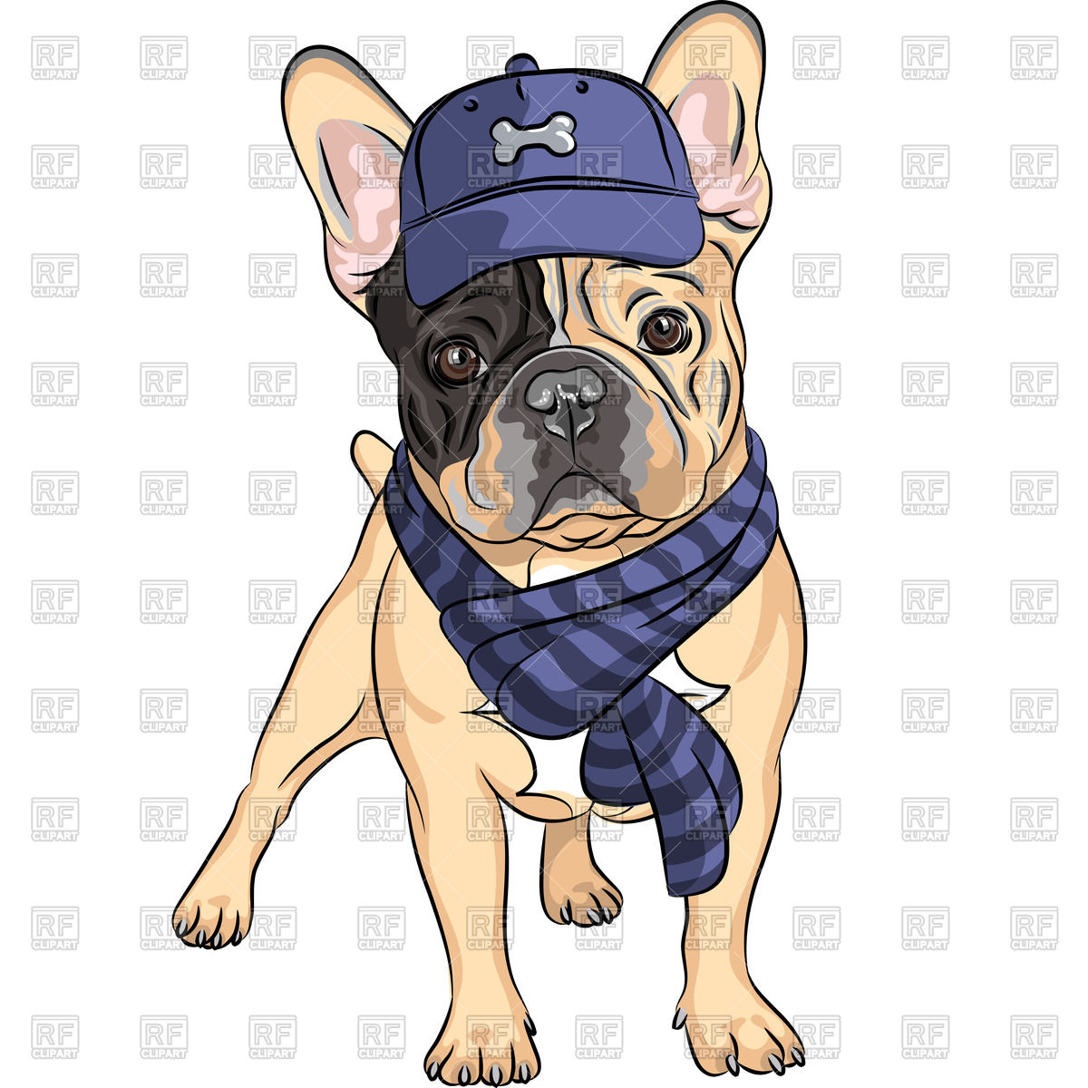 1200x1200 Dog In A Blue Cap And Scarf