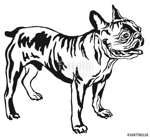 500x462 Decorative Standing Portrait Of French Bulldog Vector Illustration