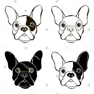 300x300 Best Silhouette Of An English Bulldog Vector Drawing Catchsplace
