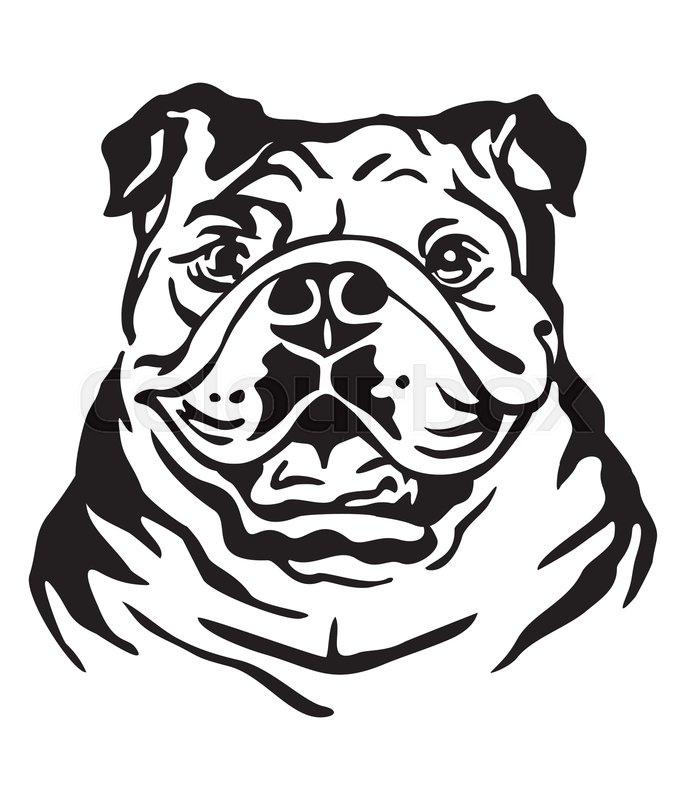 686x800 Decorative Portrait Of Dog Bulldog, Stock Vector Colourbox