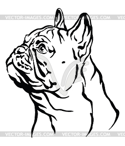 256x300 Decorative Portrait Of French Bulldog