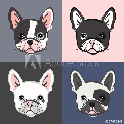 500x500 French Bulldog Vector Set Of Cute Bulldog's Face Vector