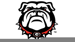 300x169 Bulldog Vector Clipart Free Images