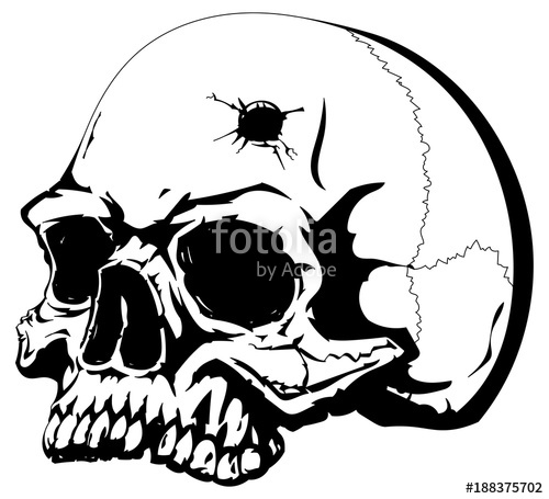 500x455 Human Skull With A Bullet Hole On The Forehead Stock Image