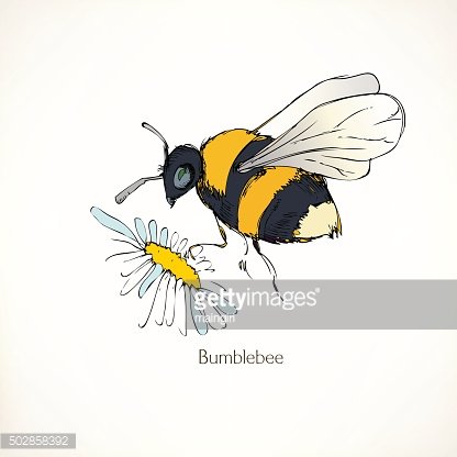 416x416 Bumblebee, Vector Animal Premium Clipart