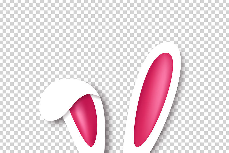 900x600 Vector Realistic Isolated Bunny Ears For Template And Layout