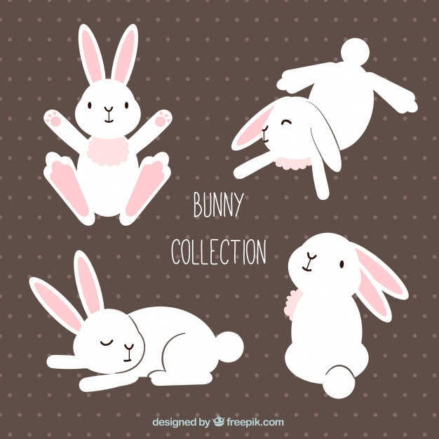 626x626 Bunny Vectors, Photos And Free Download
