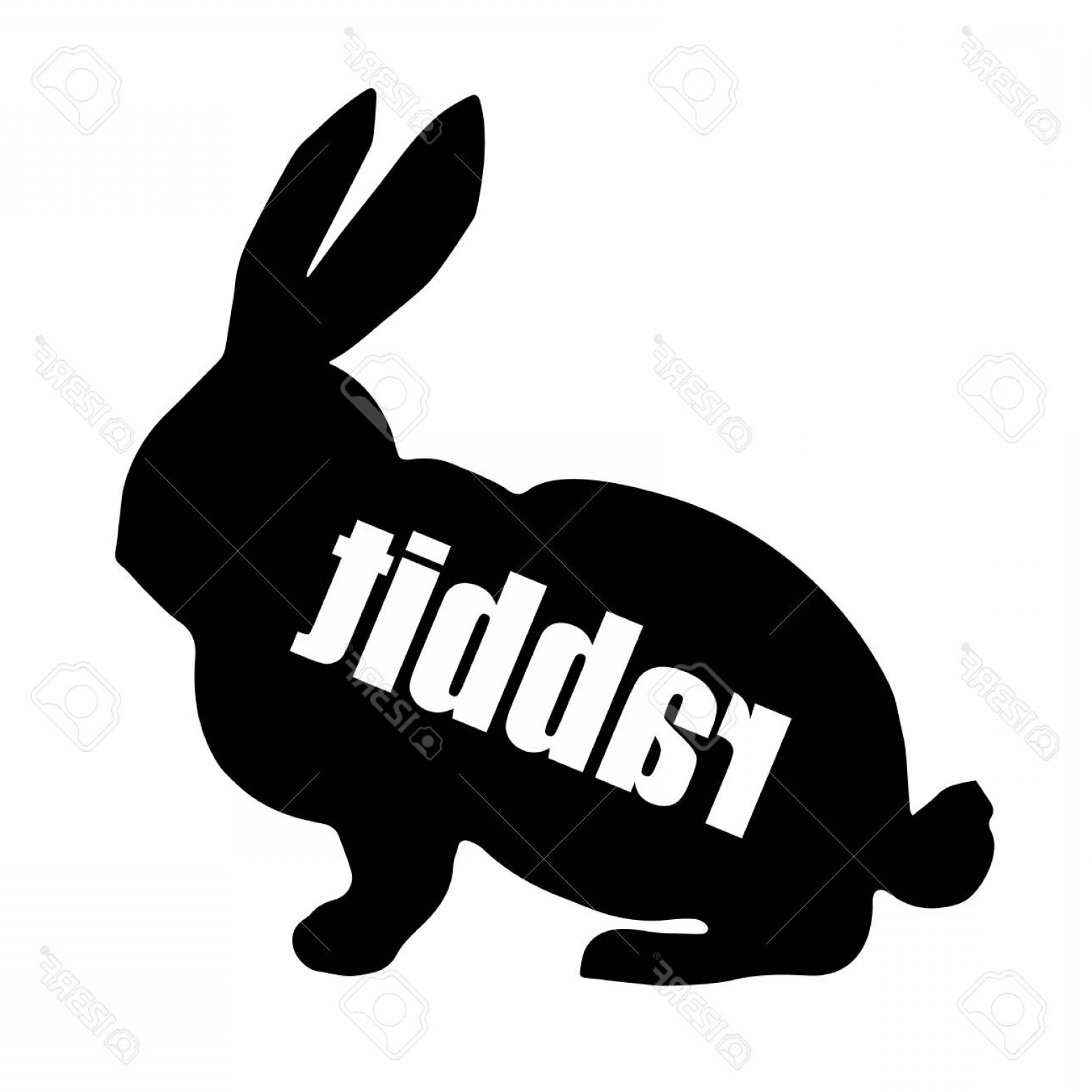 1560x1560 Photostock Vector White Easter Rabbit Easter Bunny Rabbit