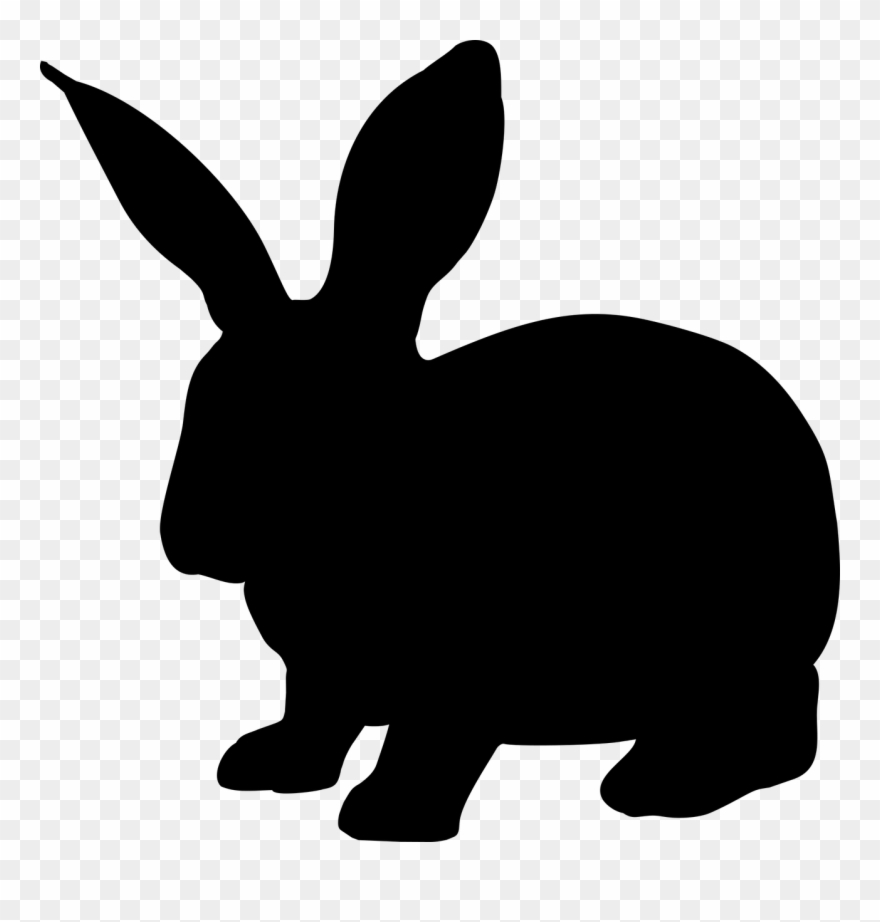 880x922 Rabbit, Animal, Hare, Silhouette, Nature, Vector