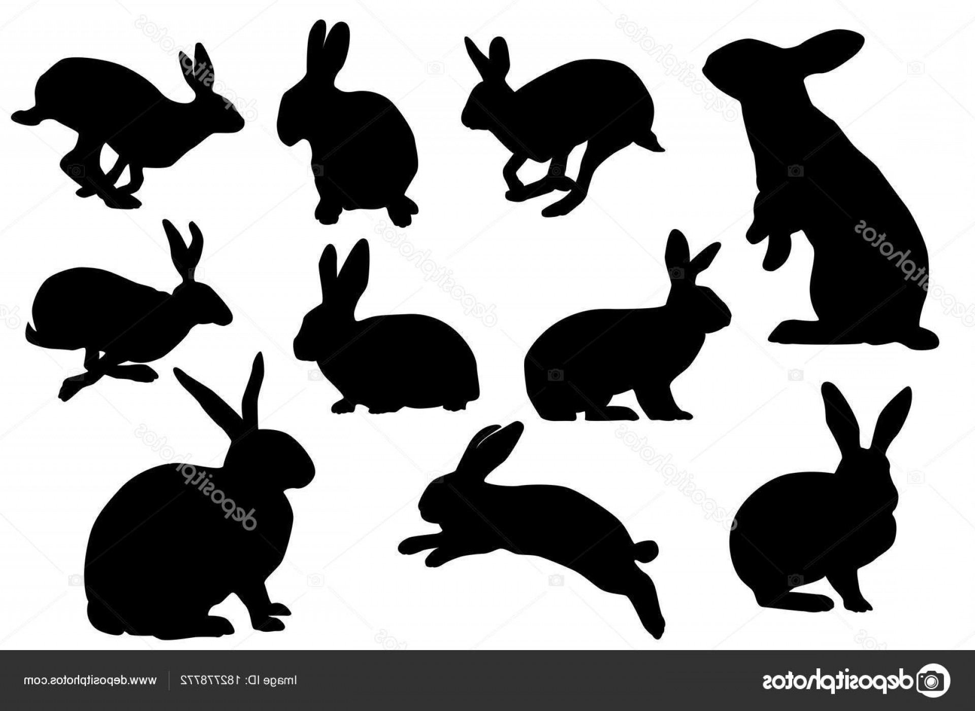 1920x1400 Stock Illustration Bunny Silhouette Vector Set Geekchicpro