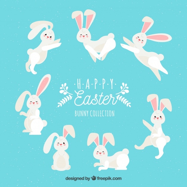 626x626 Easter Bunny Vectors, Photos And Free Download
