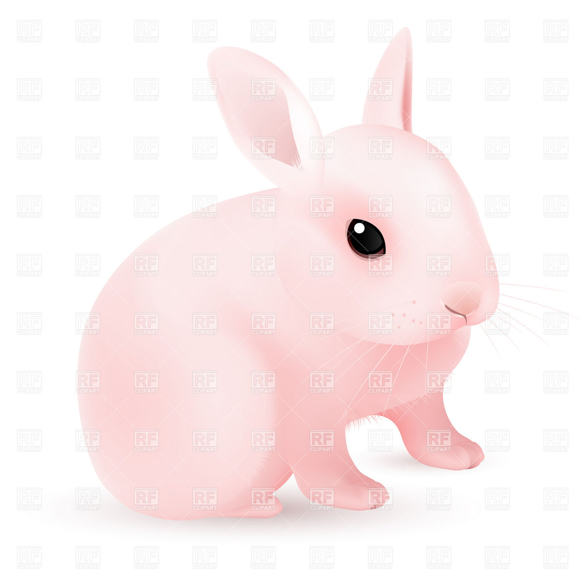 1200x1200 Pink Easter Bunny Vector Image Of Plants And Animals Dvarg