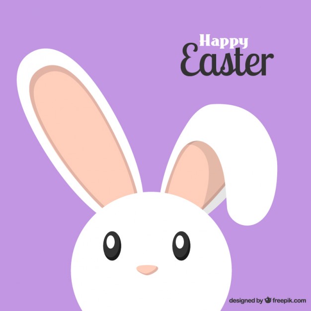626x626 Bunny Vectors, Photos And Free Download