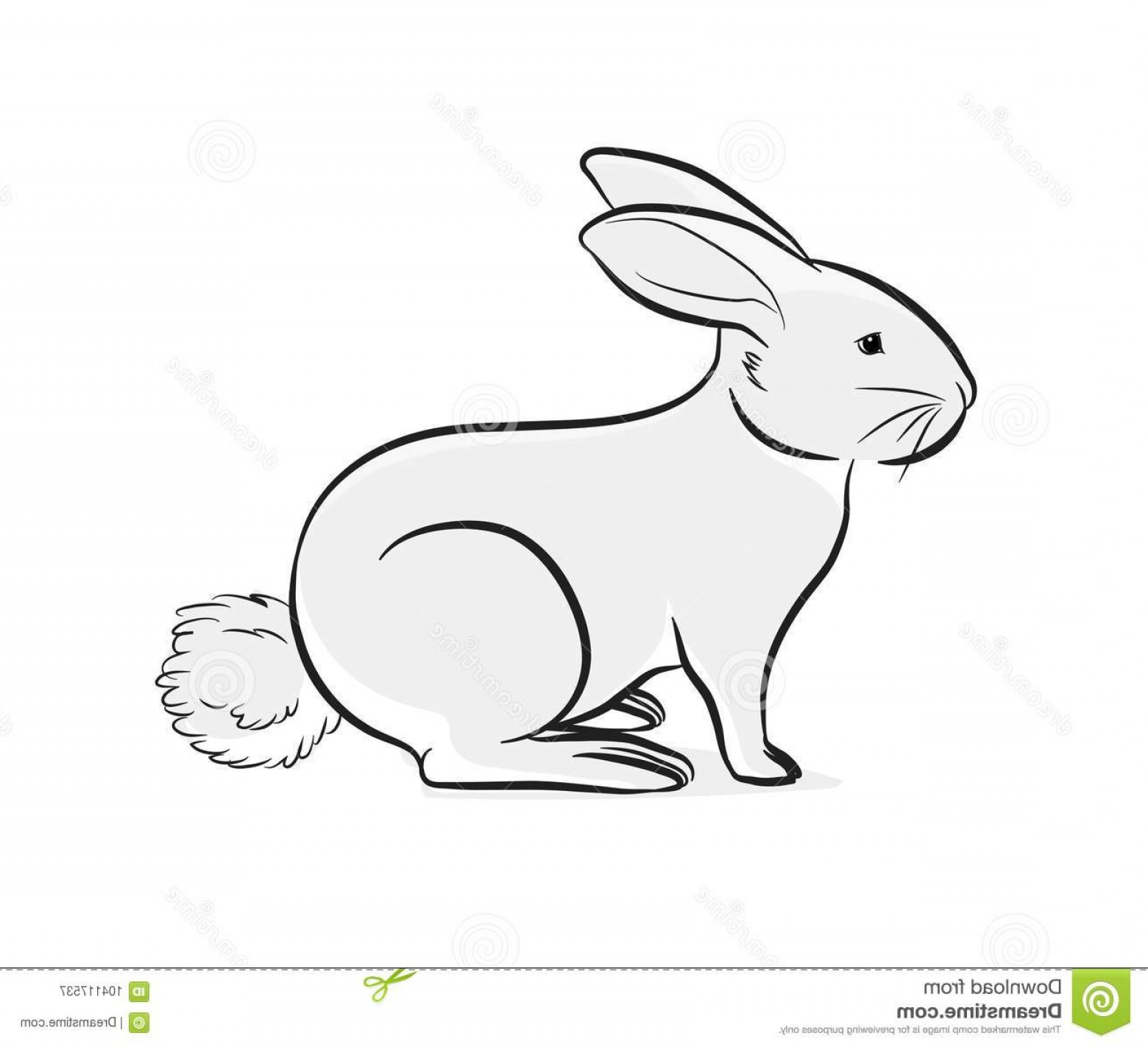 1560x1423 Vector Drawings Of Rabbits Studiogrfx