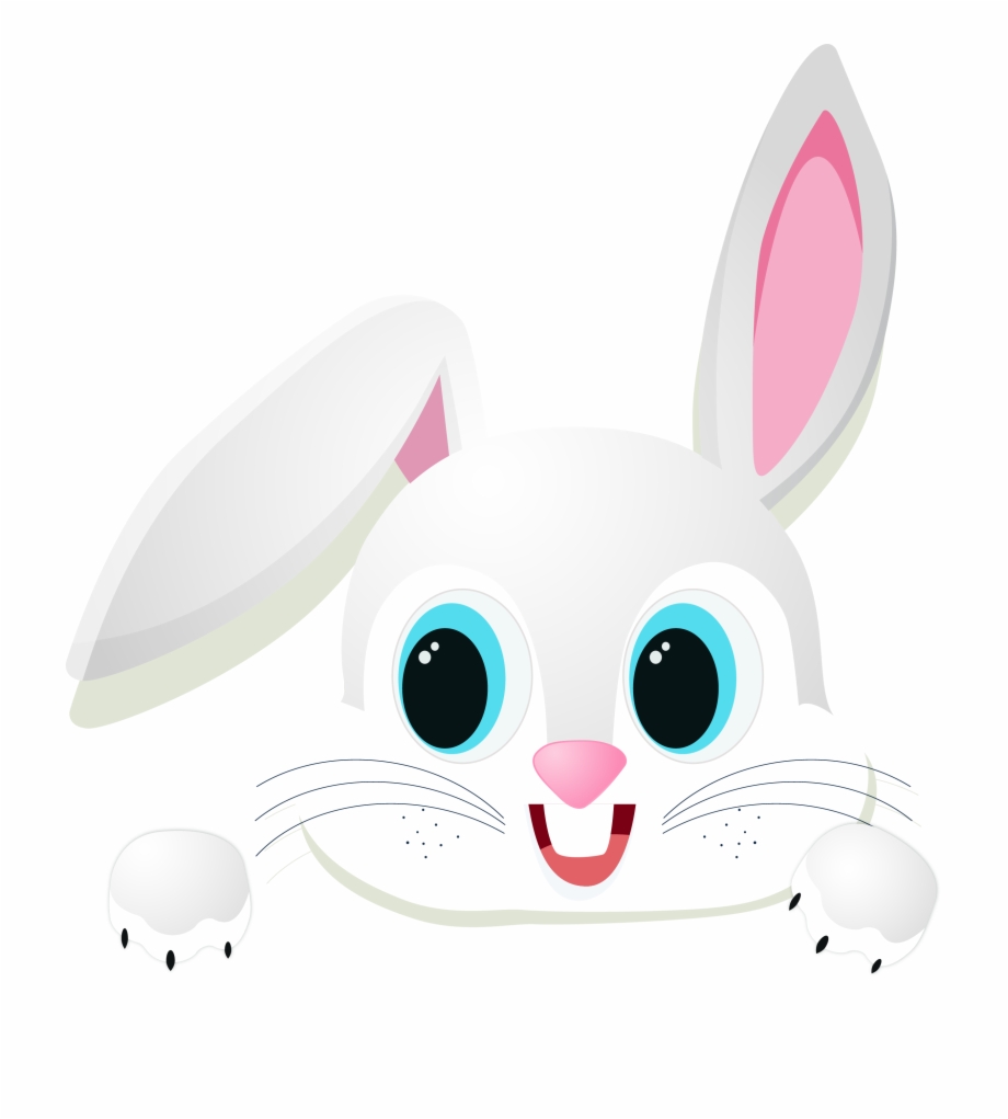 920x1021 Bunny Vector Eyes