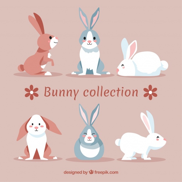 626x626 Rabbit Vectors, Photos And Free Download