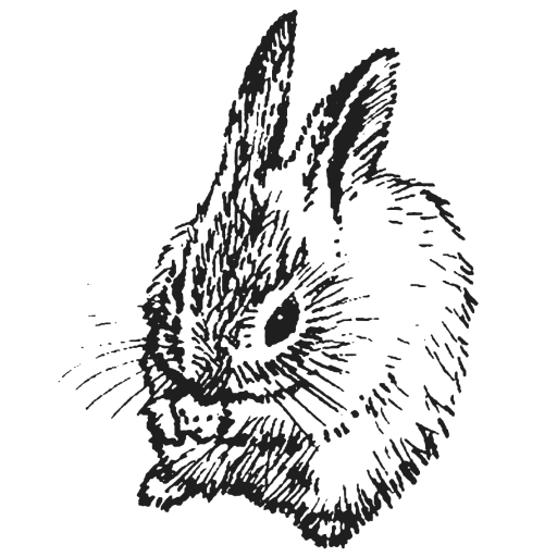 512x512 Cropped Bunny Vector Prufrock Coffee