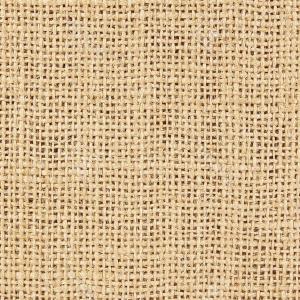 300x300 Photostock Vector Distressed Burlap Canvas Texture Grunge Color