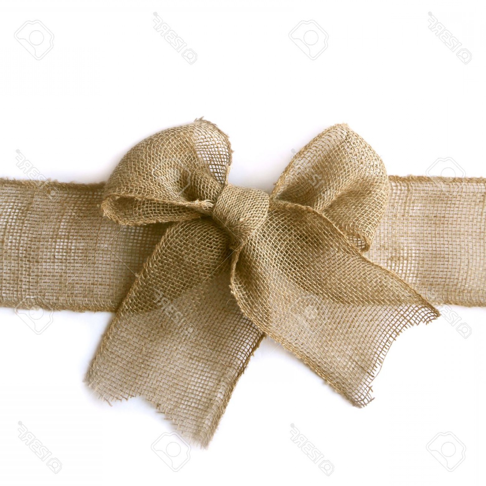 1560x1560 Burlap Bow Vector Wallkeeper