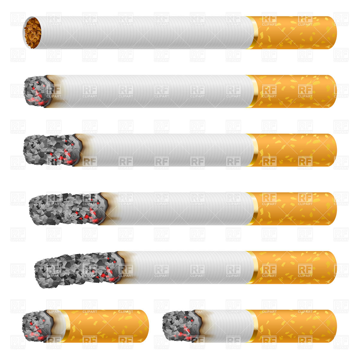 1200x1200 Set Of Cigarettes During Different Stages Of Burn Vector Image