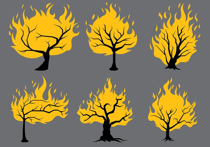 700x490 Burning Bush Vector Icons