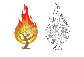 295x200 Burning Bush Vector Illustration Stock Vectors