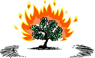 400x245 Huge Collection Of 'burning Bush Clipart' Download More Than