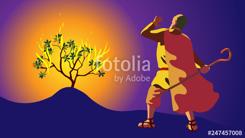 500x282 Moses In Desert, On Mount Sin Burning Bush And Revelation