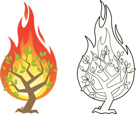 452x379 Vector Illustration Of The Burning Bush From The Biblical Account