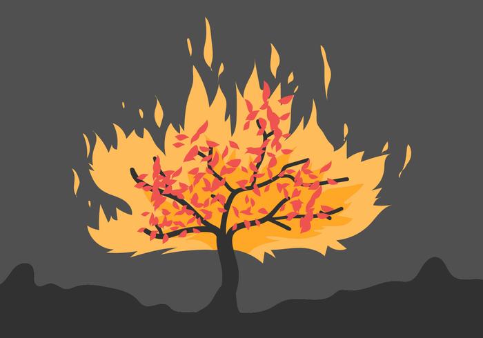 700x490 Burning Bush Flat Illustration