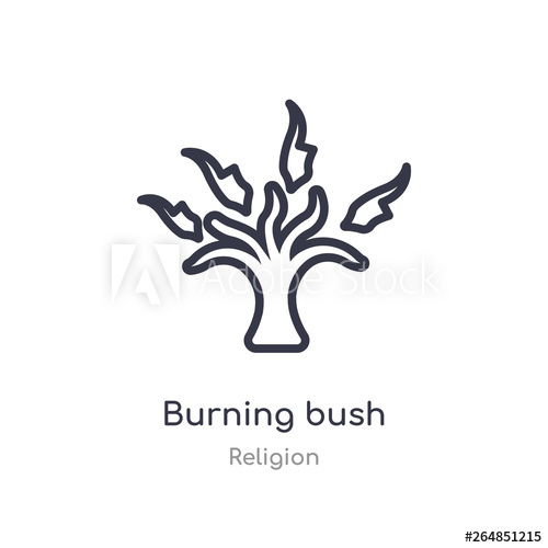 500x500 Burning Bush Outline Icon Isolated Line Vector Illustration