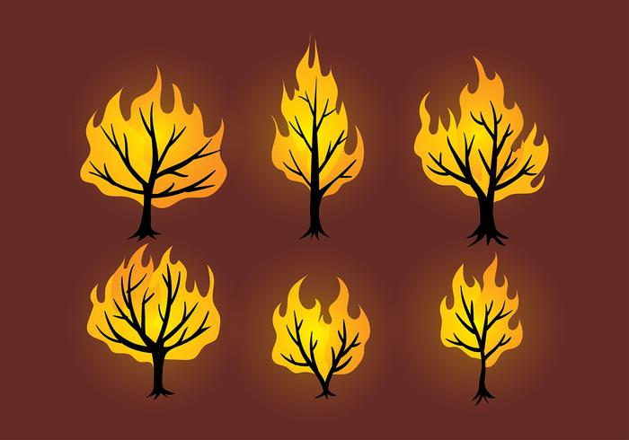 700x490 Burning Bush Free Vector