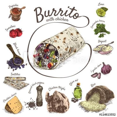 500x500 Vector Illustration Of Burrito Ingredients