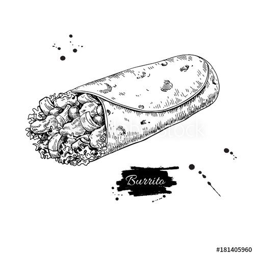 500x500 Burrito Drawing Traditional Mexican Food Vector Illustration