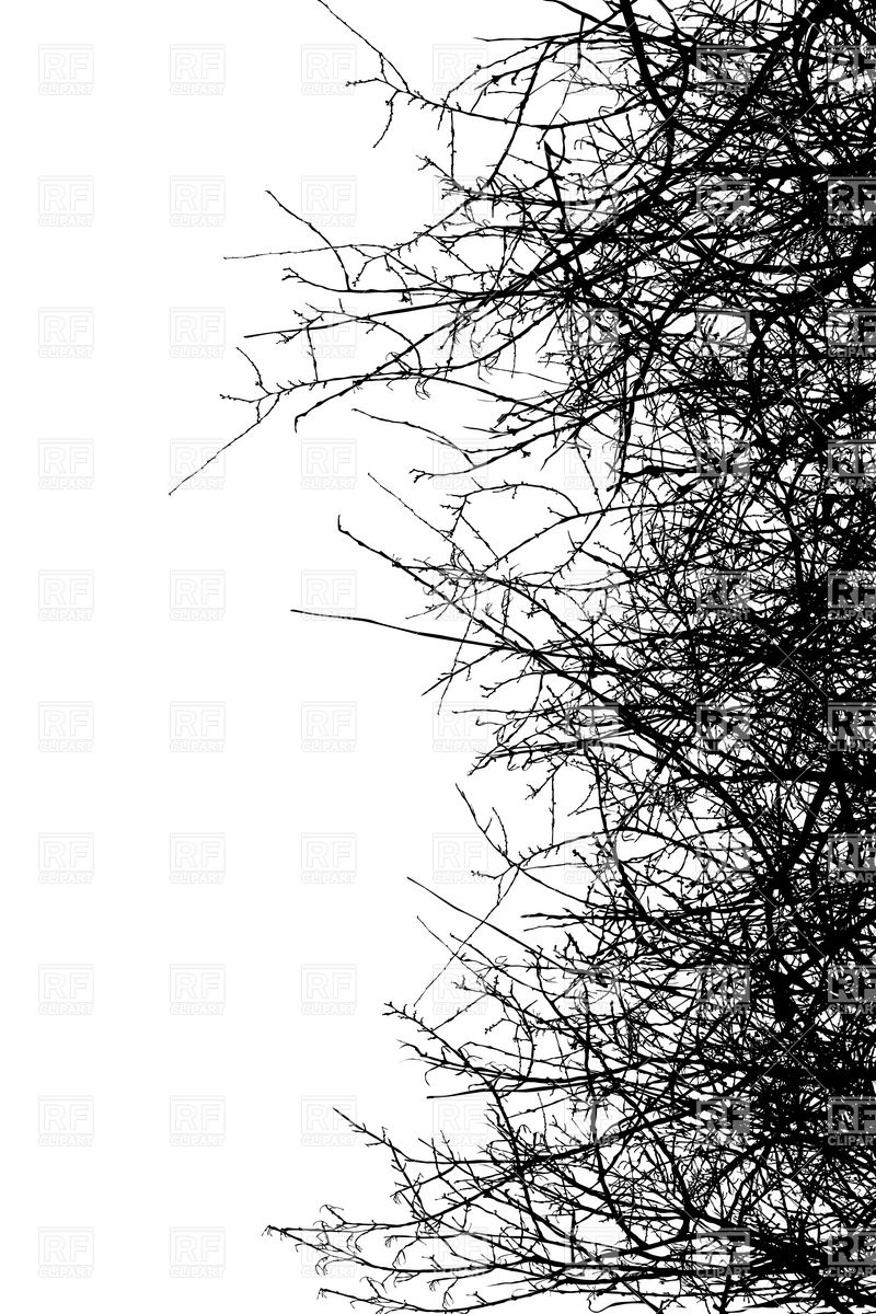 Dry Bush Silhouette 800x1200 Dry Bush Silhouette