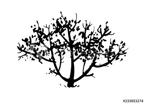 Hand Drawn Tree, Bush Silhouette Ink Vector Illustration Isolated 500x357 Hand Drawn Tree, Bush Silhouette Ink Vector Illustration Isolated