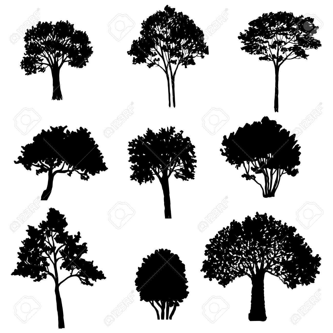 Huge Collection Of 'bushes Silhouette' Download More Than 1300x1300 Huge Collection Of 'bushes Silhouette' Download More Than