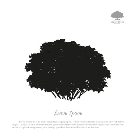 Black Silhouette Of A Bush On A White Background Forest Trees 450x450 Black Silhouette Of A Bush On A White Background Forest Trees